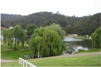 Coonawarra Farm Resort image 5